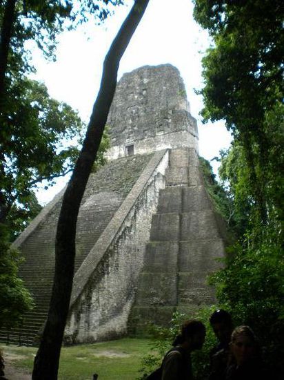 Typischer Tikal Tempel, ziemlich steil, teils bewachsen, im Urwald versteckt und der Tempel ragt über die Baumkronen