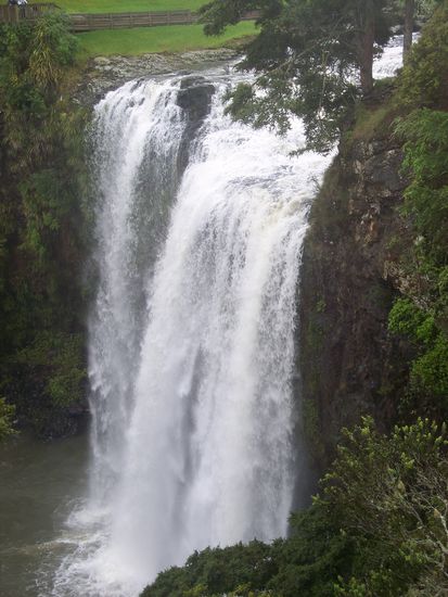 Whangarei Falls