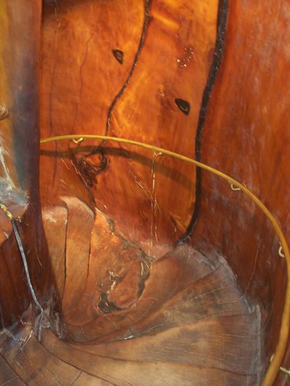 eine Treppe in einem Kauri Baum