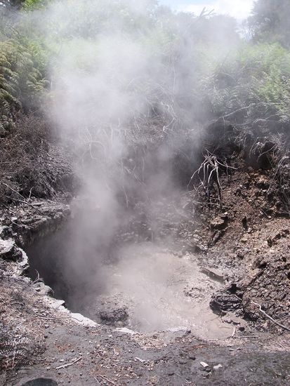 Schlammtuempel in Rotorua