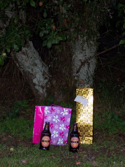 wir haben uns schon fuer Weihnachten vorbereitet