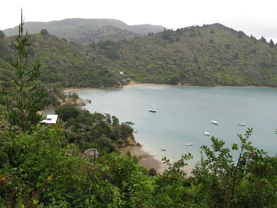 Entlang vom Queen Charlotte Drive