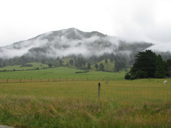 Landschaft in den Marlbrough Sounds