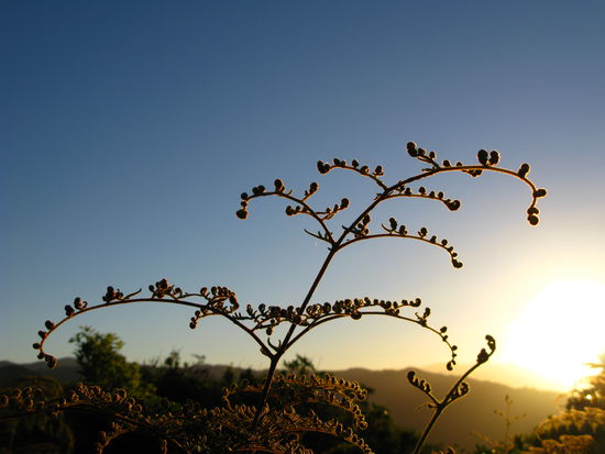 Sonnenuntergang Naehe Seperation Point am Nordende vom Abel Tasman Walk