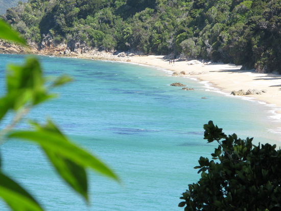 Entlang vom Abel Tasman Walk
