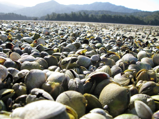 Die Durchquerung mancher Passagen ist nur bei Ebbe moeglich