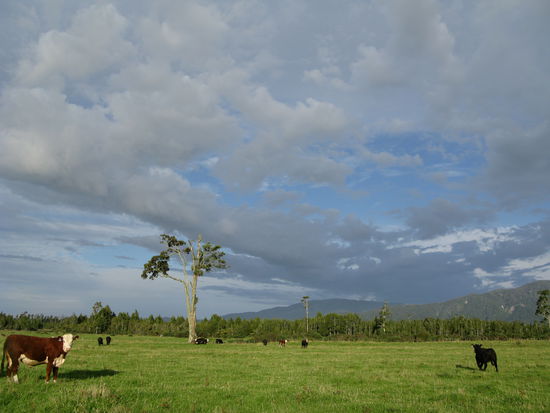 Irgendwo an der Westkueste