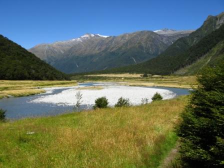 Motukituki Valley