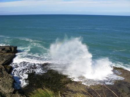 Curio Bay