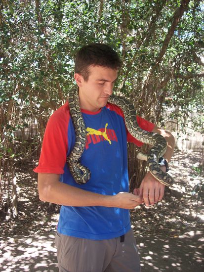 sehr giftig, sehr gefaehrlich