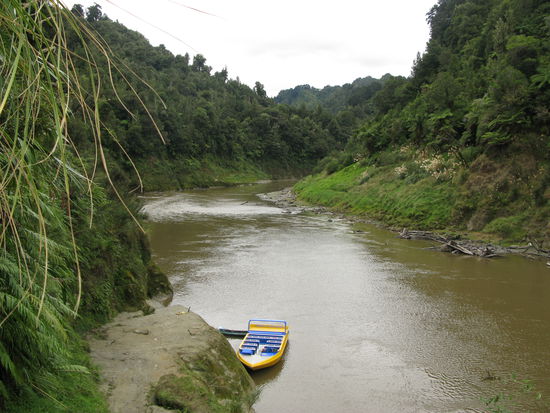 hier musste ich schwimmen