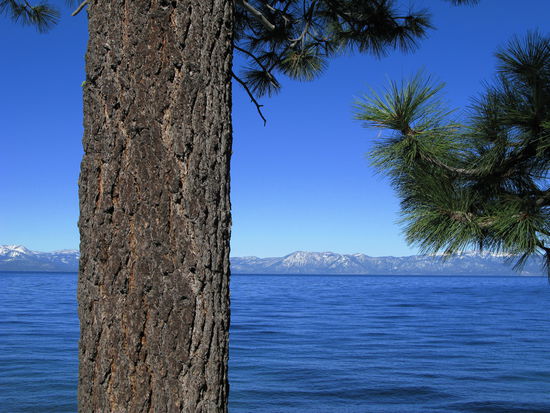 Lake Tahoe