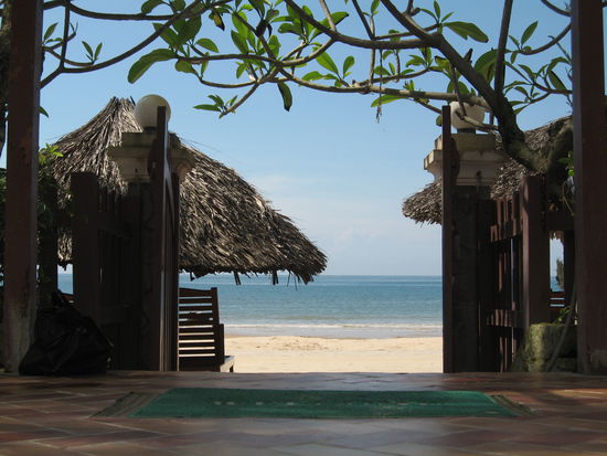 Der herrliche Blick vom Pool aus, wo man so richtig relaxen kann unter Palmen!!!