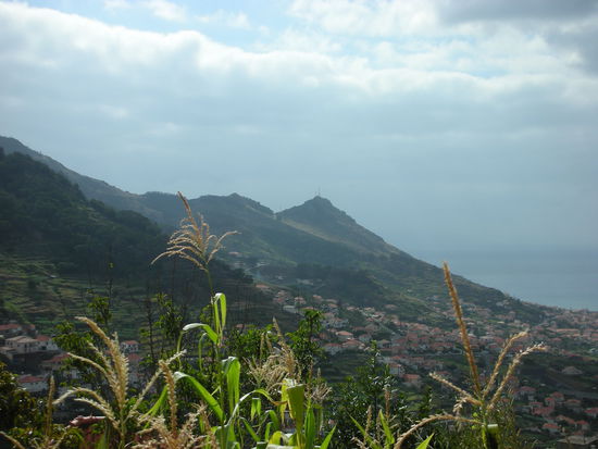 Blick Richtung Canical