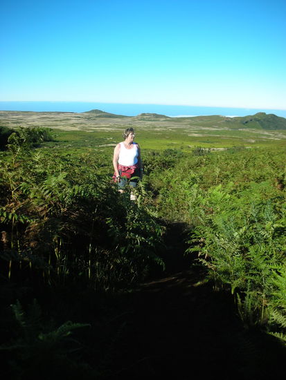 Auf dem Fahn- Verzeihung Farnweg zum Gipfel.