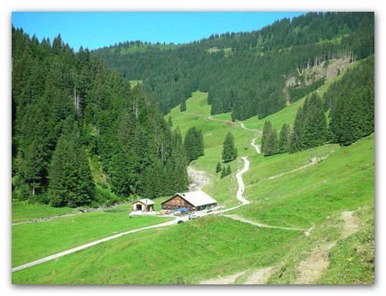die Zunkleitenalpe. Oben auf einer Lichtung ist schwach das Berghaus Schwaben zu erkennen