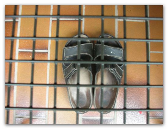 jetzt folgen noch ein paar Gartenbilder