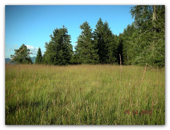 wie sich das Wetter urplötzlich verändert, der reinste Wahnsinn