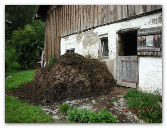 über alle Wege, über alle Stege bist du immer da, Halleluja
