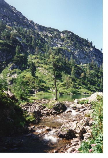 See-Nordseite mit Auslauf, der Kleinarler Arche.