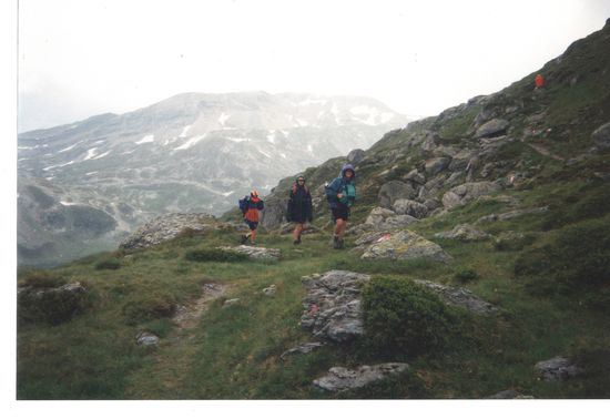 Es regnete bereits kräftig, das Gewitter rückte immer näher
und  noch ca. eine 1/2 Stunde Gehzeit bis zur  Hütte.  
Die wir dann zwar nass, aber unversehrt erreichten.