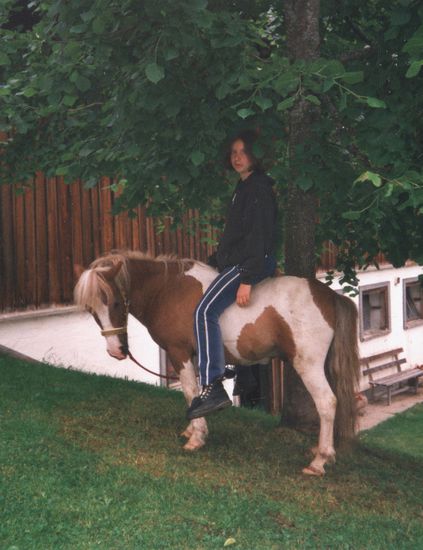 Das Glück auf Erden ist auf dem Rücken der Pferde.