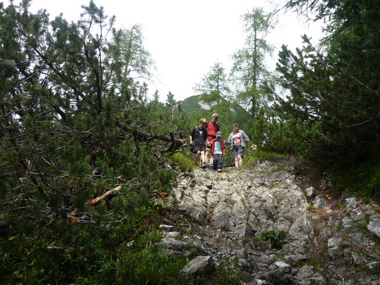 Einige der kleinen Bergauf- und Bergab-Hindernisse.
