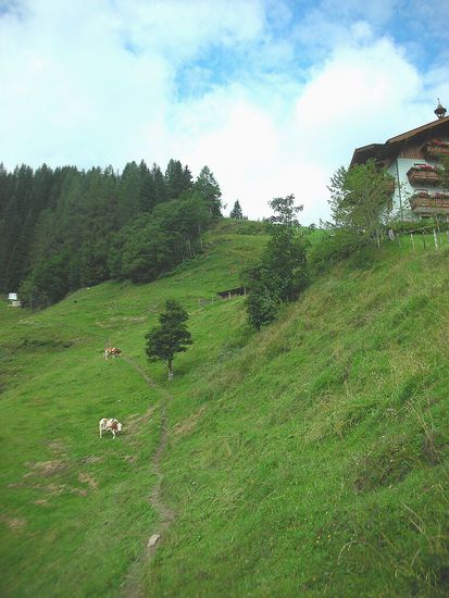Bauernhof an steilem Gelände.