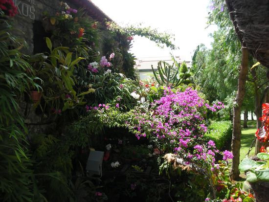 Die Blütenpracht ist allgegenwärtig