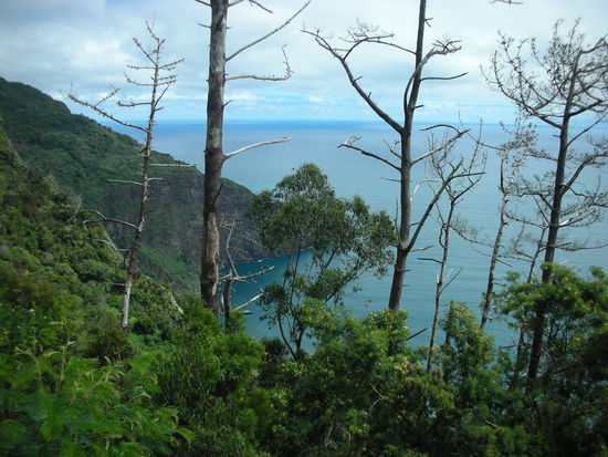 Die wildromantische Küste mit dem Blick zur Ponta do Clerigo und