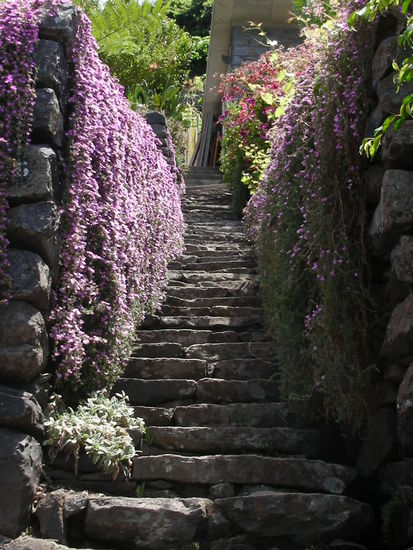 Die hängenden Gärten der Familie Lopez?