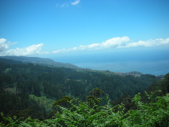 Wir kommen Ponta do Sol immer näher