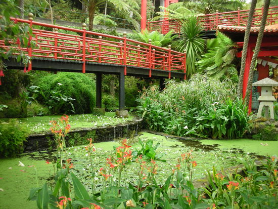 Das kommt mir ziemlich japanisch vor.