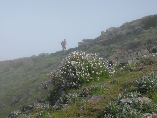 Es war nicht nur nebelig, es war auch saukalt.