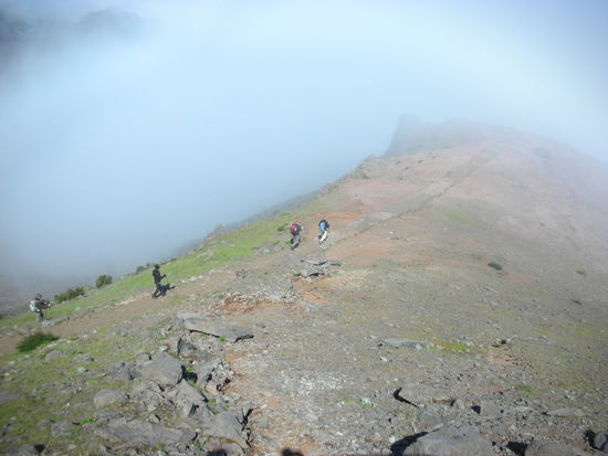 Einige haben sich trozdem auf den Weg gemacht