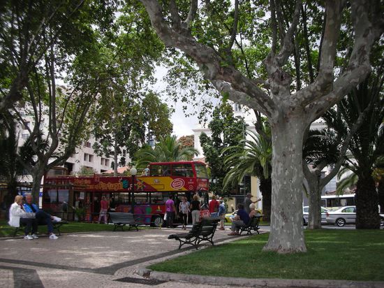 Einer der vielen Sightseeing Busse