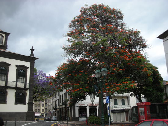 Menschenleer. Es war Mittagszeit