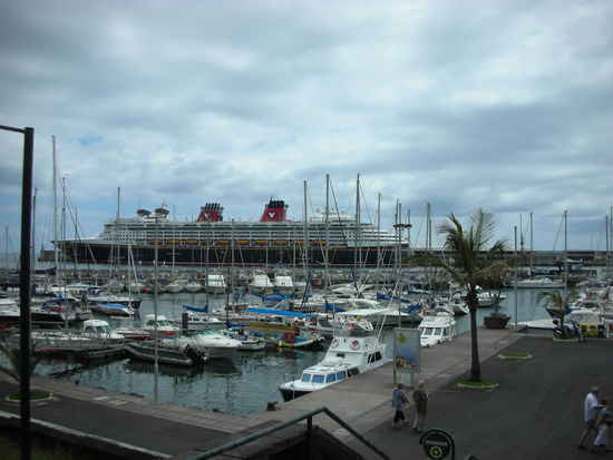 Die 300 Meter lange Disney Magic aus den USA.