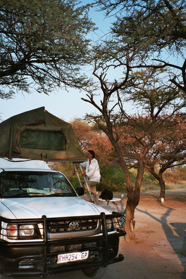 Einrichten im Etosha Camp