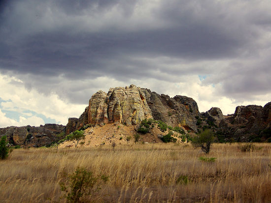 Natur, im Vorbeirasen festgehalten