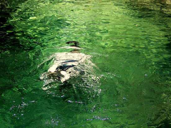 Plantschen im Piscine Bleu