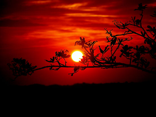 Tschüß und bis zum nächsten Mal.