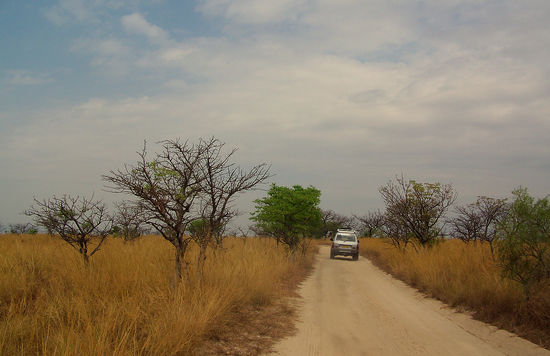 Über Stock und Stein