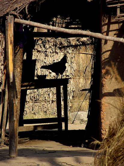 Impression am Morgen