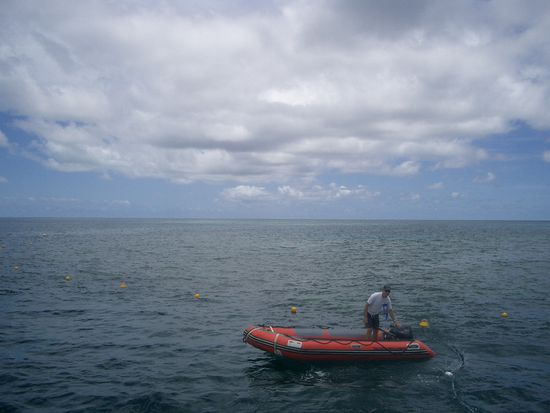 Und dann waren wir angekommen... Dieser Mann auf dem Boot schaute, damit nichts geschieht.. Keiner ertrinkt, keine Gelyfische aufkreuzen oder Haie uns den Tag vermiesen....