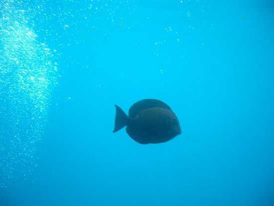 und noch eins... so sollte es eigentlich sein...