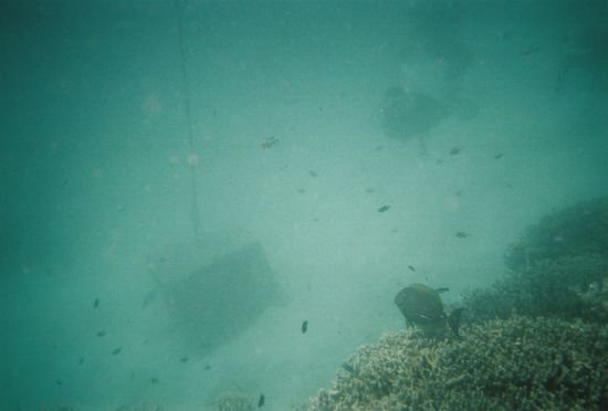 Unheimlich... in der Tiefe... Das Meer ist gewaltig! Fast einwenig furchterregend...