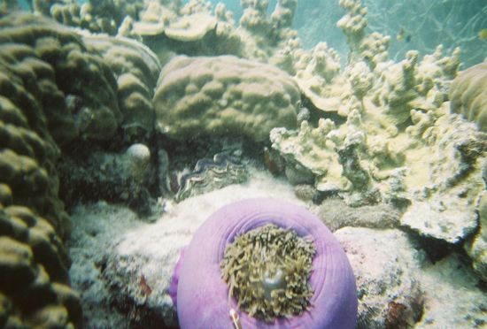 und noch von nahe...