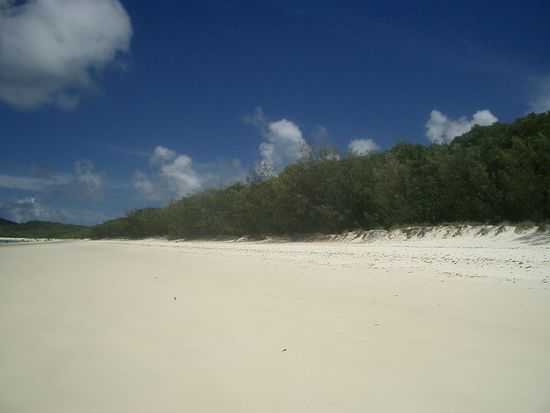 Der Strand von Whiteheaven Beach...