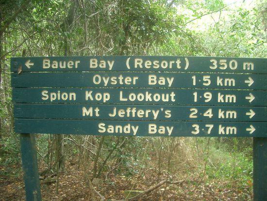 Als erstes gings gerade mal auf einen Marsch.. die Australier nennen dies Buschwalking... Mmmhh welcher soll ich den nehmen...